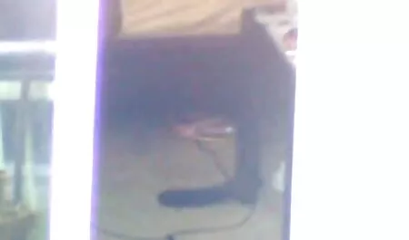 Apa körül tükrök fúj a letölthető pornó filmek nagy faszt