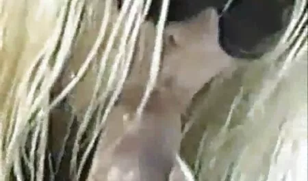 Interracial Szex magyarul beszélő porno film Nedves com!