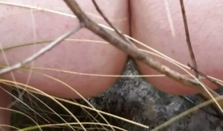 OVET LEGJOBB BARÁTJA! - INDIGÓ családi pornó videó FEHÉR
